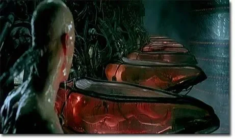Matrix01.jpg