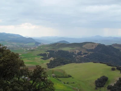 paysage ifrane.jpg
