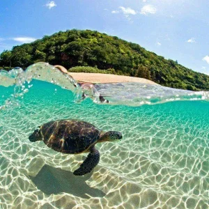 photo-sous-surface-eau-aquatique-incroyables-36.jpg
