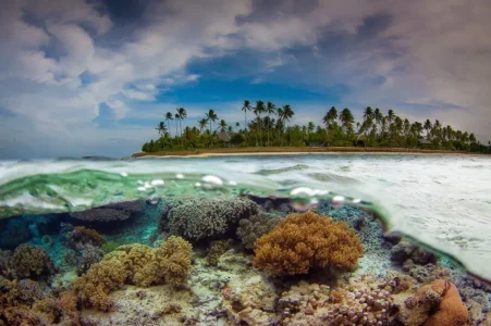 photo-sous-surface-eau-aquatique-incroyables-30.jpg