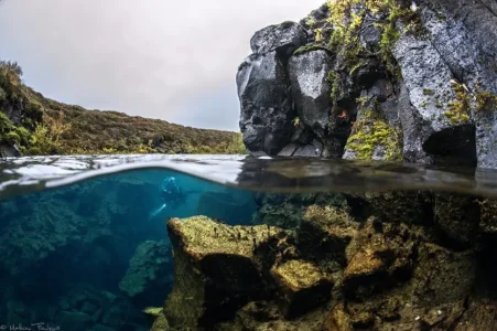 photo-sous-surface-eau-aquatique-incroyables-33.jpg