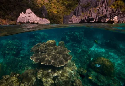 photo-sous-surface-eau-aquatique-incroyables-26.jpg