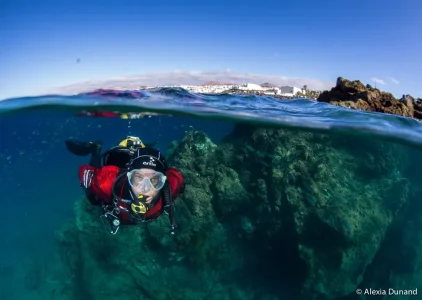 photo-sous-surface-eau-aquatique-incroyables-27.jpg
