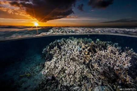 photo-sous-surface-eau-aquatique-incroyables-19.jpg