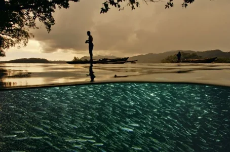 photo-sous-surface-eau-aquatique-incroyables-15.jpg
