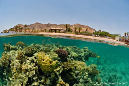 photo-sous-surface-eau-aquatique-incroyables-9.jpg