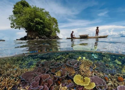 photo-sous-surface-eau-aquatique-incroyables-2.jpg