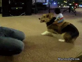 IiUw2.gif