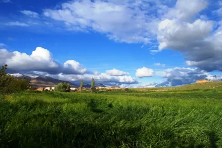 17203-ras-el-ayoun.jpg