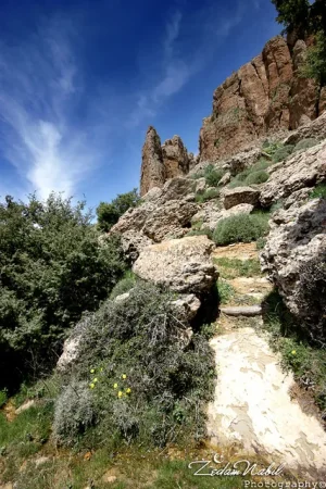 31389-to-the-summit-tichrirt-ras-el-aioun-algeria.jpg