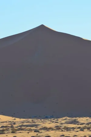 1450906_10202448092998150_2558468240139109074_n.jpg