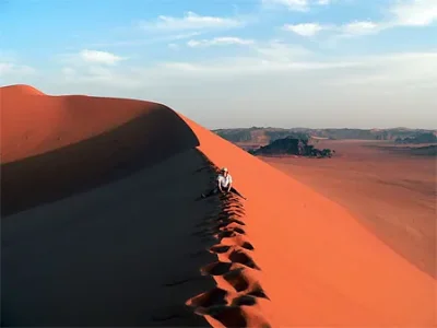 pt32897.jpg