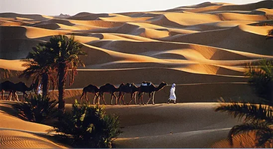 Timimoun,+Sahara,+Algeria.jpg