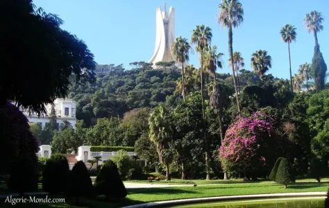 jardin-dessai-alger.jpg