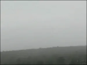 Helicopter-sling-loading-trees.gif