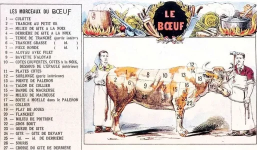 699330-800px-decoupe_boeuf.jpg