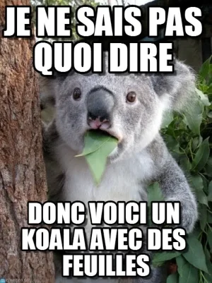 rgde0m.jpg