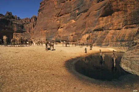 61148.jpg