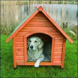 niches-pour-chiens.jpg