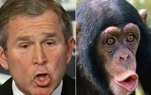 goerge-bush-et-chimpanz%C3%A9.jpg