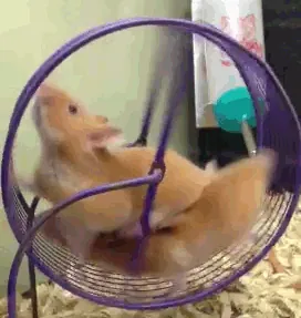 tumblr_mr4w8odYPT1s6uduro1_400.gif
