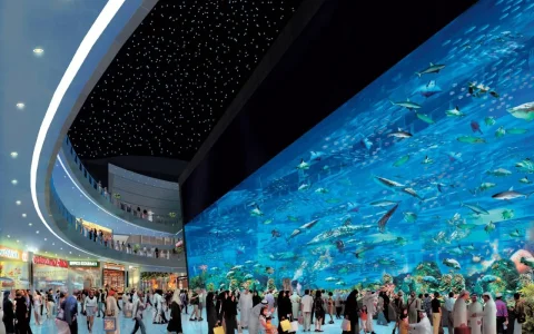 Centro-comercial-Dubai.jpg