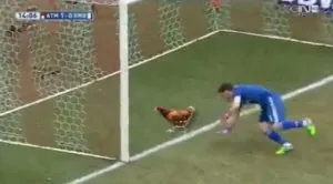 10422546_10205199904253831_3916494670724427658_n.jpg