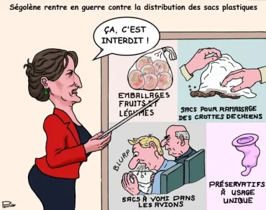 sacs-28-juin-2014.jpg