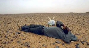immigre_desert.jpg