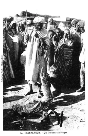 7al9a.jpg