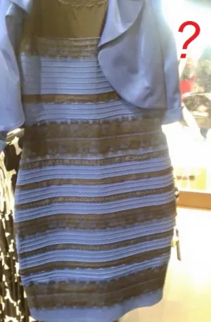 la-robe-qui-affole-la-toile.png