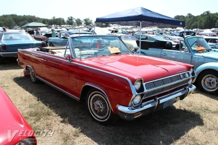 ra1965ambassador.jpg