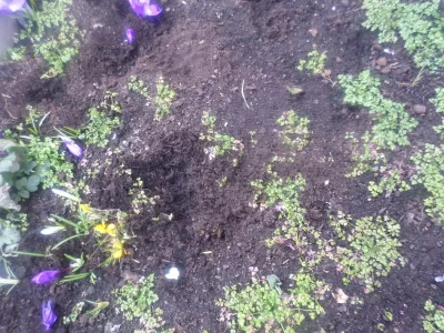 Photo 5283.jpg