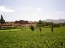 s1295224947_2298040_106629.jpg