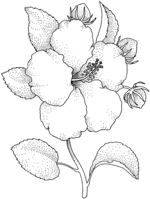 fleur.jpg