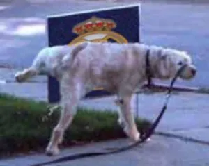 319309408.jpg