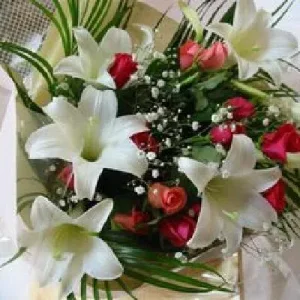 21afd1b4ea93c8b35bbb13bbca96cea1.jpg