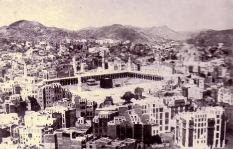 AL249b.jpg