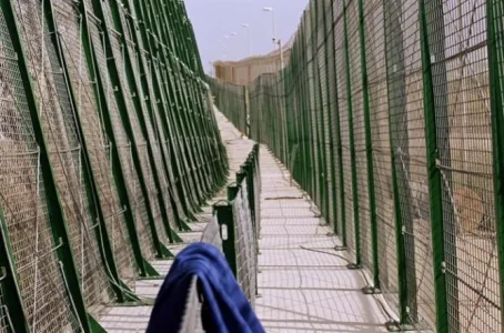 273329.jpg