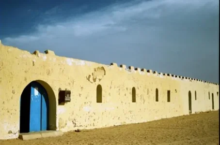 273617.jpg