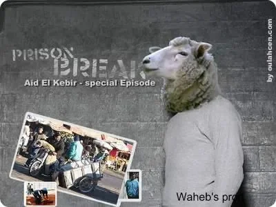 1416210465.jpg