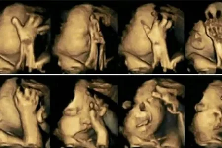 bébé.jpg
