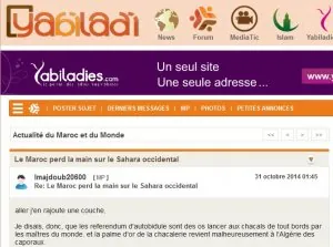 sahara maroc.jpg