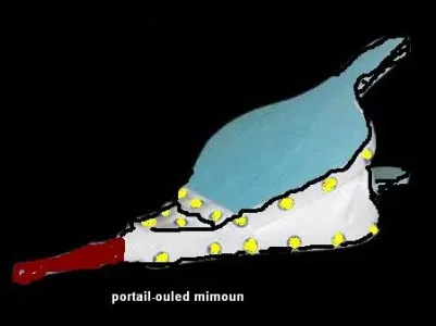 mimoun18.jpg