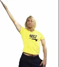 Brice cassé.gif