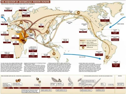 Migration3.jpg