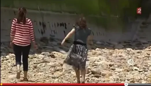 france2.jpg