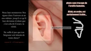 miracle_Allah_oreille_islam.jpg