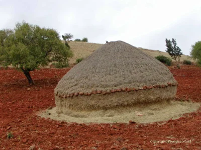 rif14.jpg