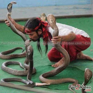 snakes-man-snake-kiss.jpg